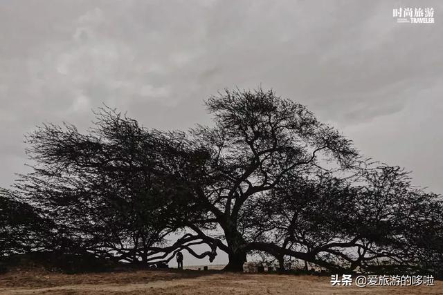 新年旅行心愿定好了吗？你的年终奖都给你安排上了！