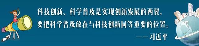 AI花市引领互动新体验，2019年广州花市9大亮点1次看尽！