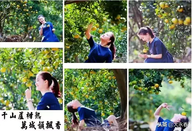 有一种生活叫永春