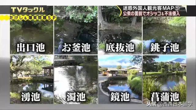 2018年去日本旅游最丢人的行为盘点，随地大小便，在涌泉池洗东西