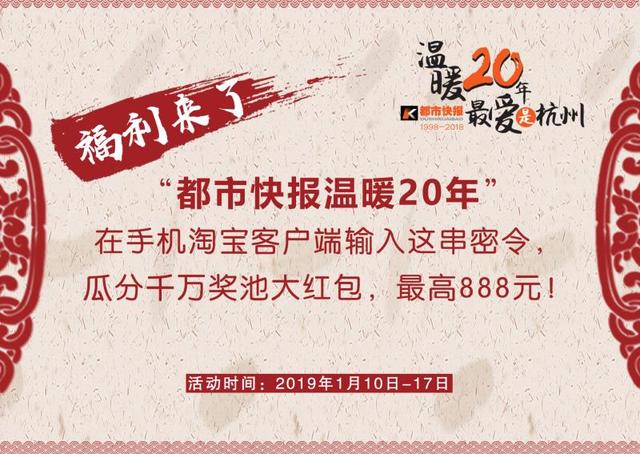 礼让斑马线如何完成“车让人”到“人车互敬”？听听各部门、专家和市民代表怎么说