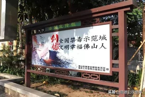 走进仙涌丨这座岭南水乡不简单，竟隐藏着3000亩会发光的桔地！