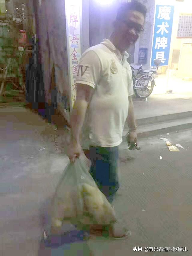 不忍看狗狗“被当成食物贩卖”暖爸直接出钱买回家：不用再害怕了