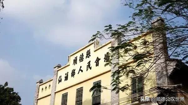 走进仙涌丨这座岭南水乡不简单，竟隐藏着3000亩会发光的桔地！