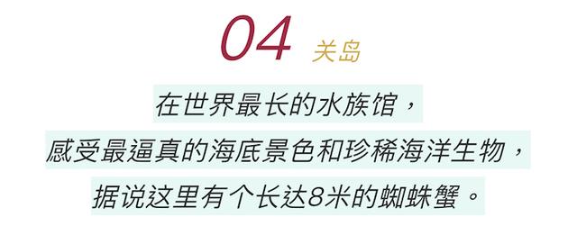 向往指南｜如今大热的家庭游要怎样才能让孩子和父母都满足，这10种玩法能俘获他们的心