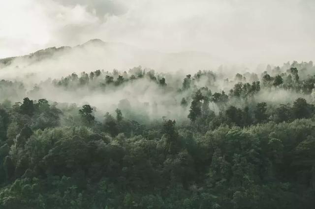 深扒大马仓：普洱茶的意外之地