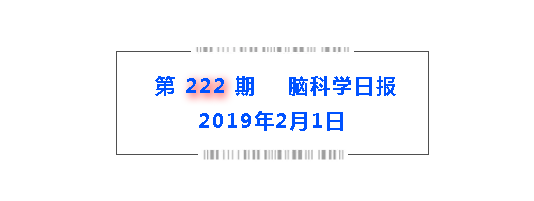 日报：脑信号直接转化为语言；基因检测对选择抗抑郁药帮助甚微