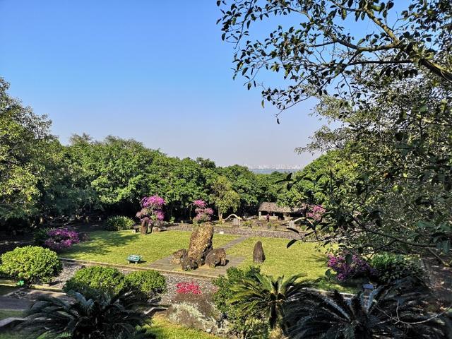 各国的国花
