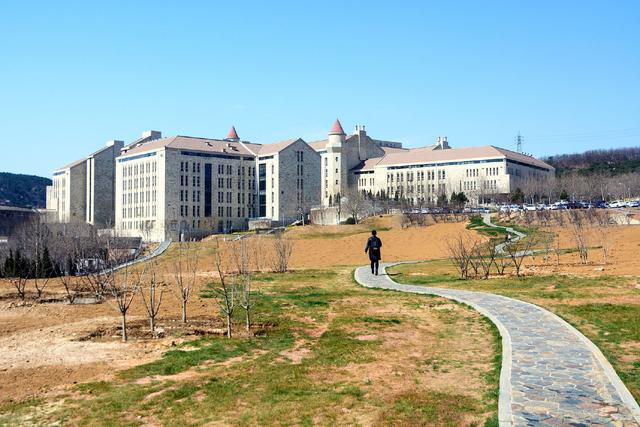 大连的日本青年：跨国移居者的生活想象