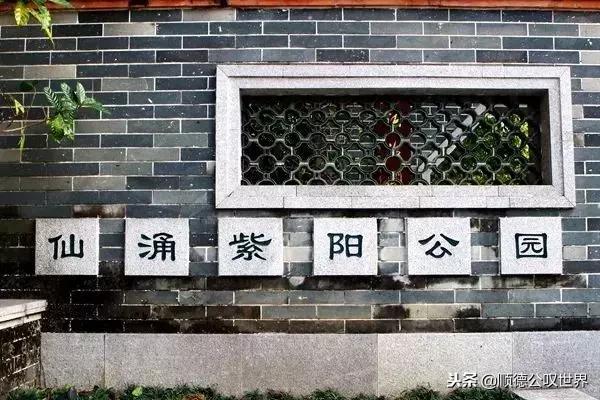 走进仙涌丨这座岭南水乡不简单，竟隐藏着3000亩会发光的桔地！