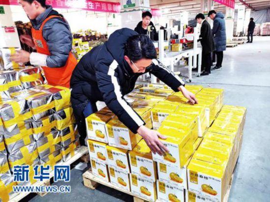 农特产品搭电商快车 果农“足不出户”走致富路