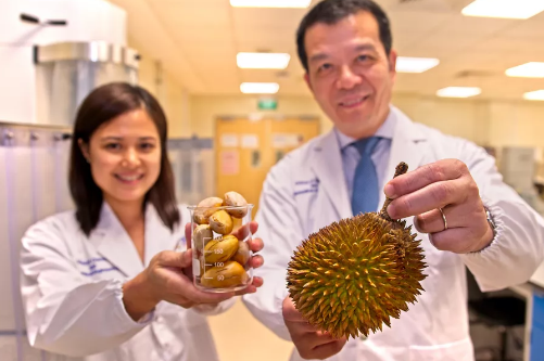 科学家们找到了一种方法将榴莲种子制成纯天然食品稳定剂