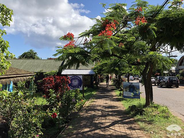 不考虑成本的环球旅行：六天飞行四万公里，只为看一眼心中的世界