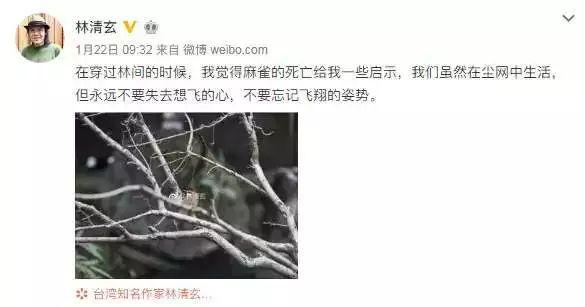 林清玄：人生最美是清欢