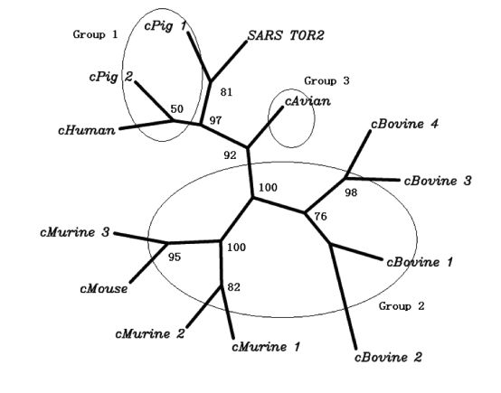 究竟是谁传播了SARS