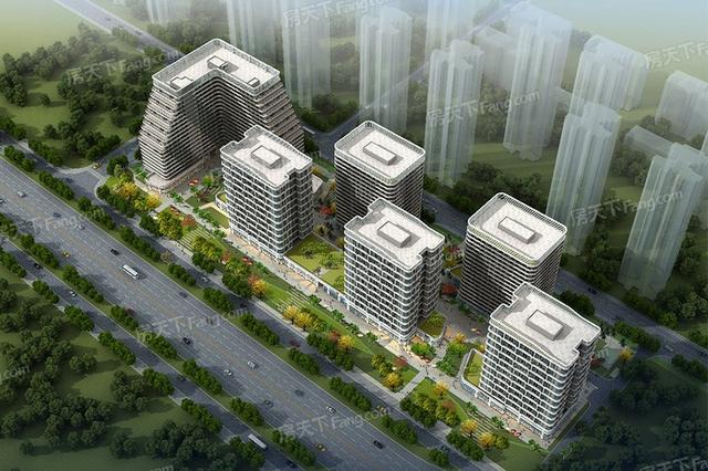 东区三溪村菜市场对面一闲置地块沦为杀鸡场