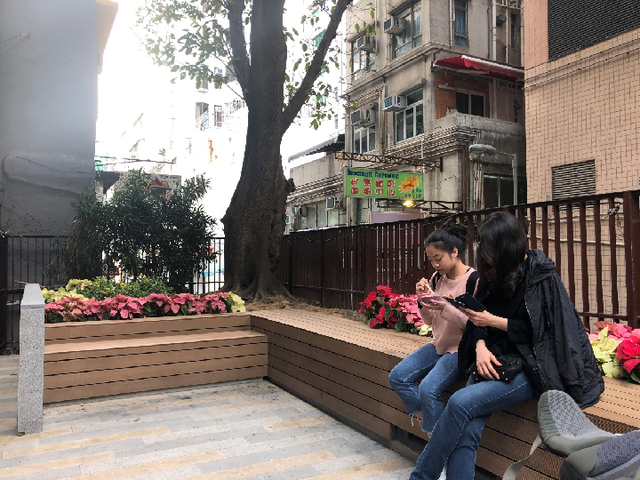 “石屎森林”里的袖珍公园——细节之处看香港之三