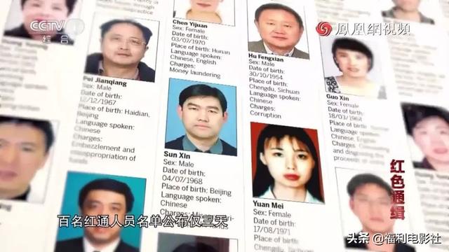 逃亡美国加拿大原来这么苦逼，这群红通逃犯贪污那么多钱有啥用呢