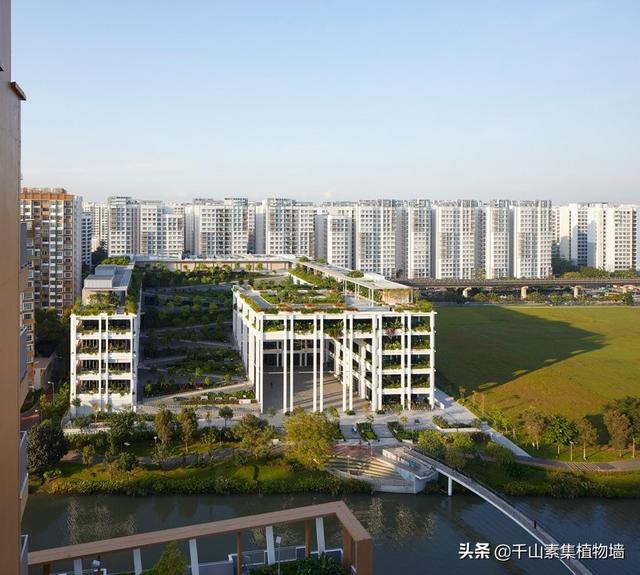 新加坡“绿洲梯田” 打造真正高品质的人居环境！