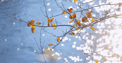 加拿大发布了一份事关张家界的名单/中国天气网给武陵源颁了一个奖/“准新郎”被查（更多）