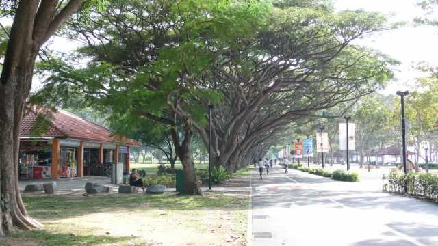 介绍一个新加坡好玩的地方（二）东海岸公园“比较短”
