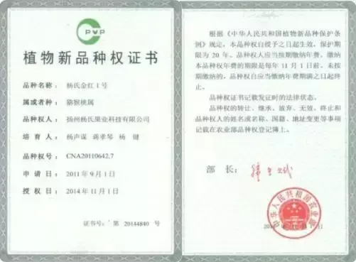 依顿（金红）一号 强势崛起