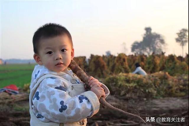 品味“元祯神仙食”，来海宁皮革城带你尽享舌尖上的极品铁棍山药