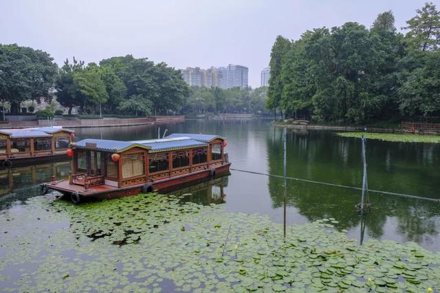 荔湾｜西关涌旧日生活：住在“亲水庭院”，出门“滴滴打船”丨西关城事