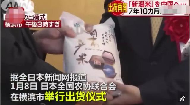 日本核事故区的大米高价出口到中国！这些“毒”大米你吃了吗？