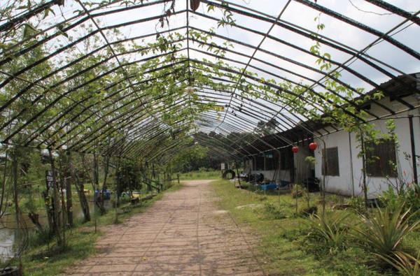 ！旅行-梦回马来西亚