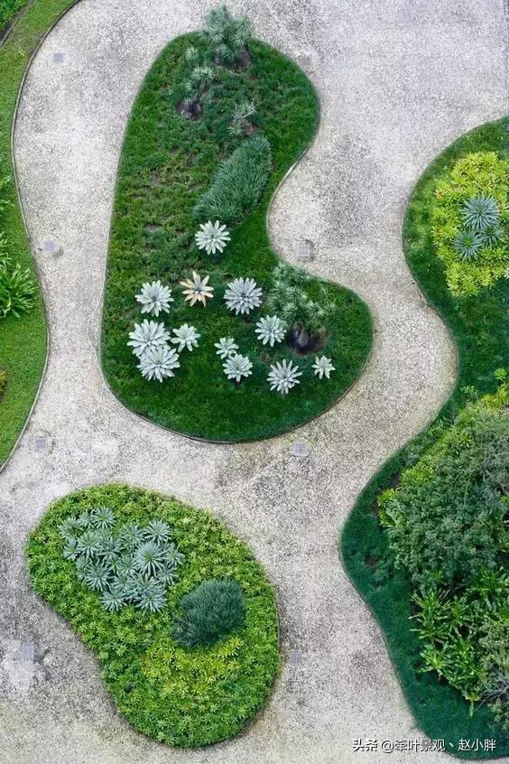 种植池——造出无限惊喜