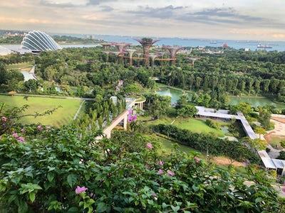 美丽新加坡滨海湾花园