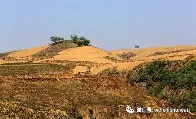 华县麦涨塬，周处斩蛟龙之发源地