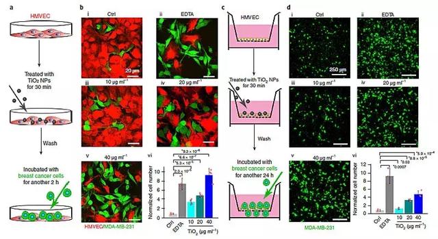 Nat. Nanotech.：出乎意料！无机纳米颗粒竟可促进癌症转移