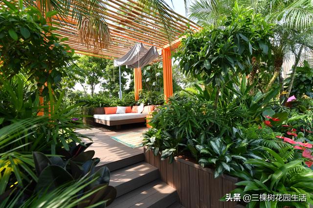 2018新加坡花园节“城市生活方式” 热带植物的魅力