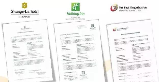 妈妈和姥姥都想去新加坡陪读怎么办？