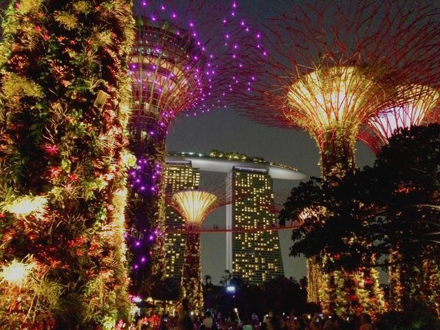 浮摄行旅图：世界上最大的热带城市花园，新加坡滨海湾花园