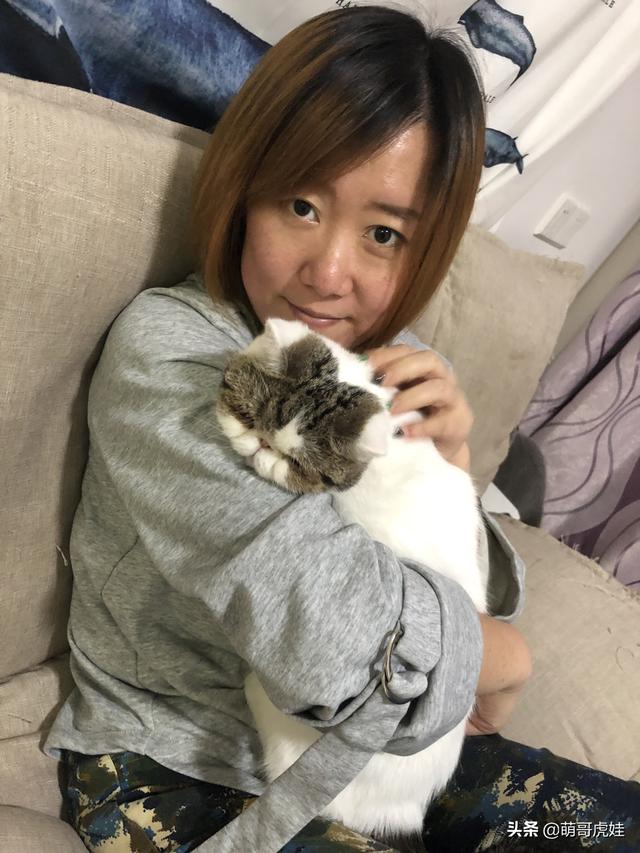 男友抛弃我和20只猫自己又养了9只，看到他的新猫后我瞬间被俘虏