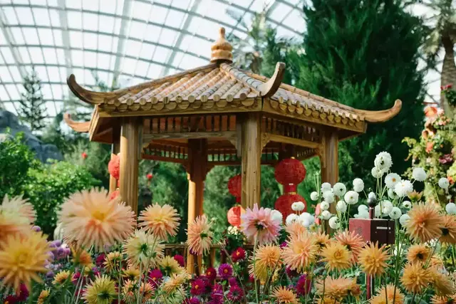 打卡新加坡滨海湾花园，许自己一个花花世界