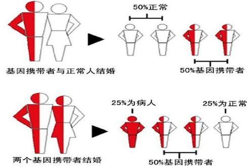 宝宝的脐带血是“废”还是“保”？掌握这些知识很重要