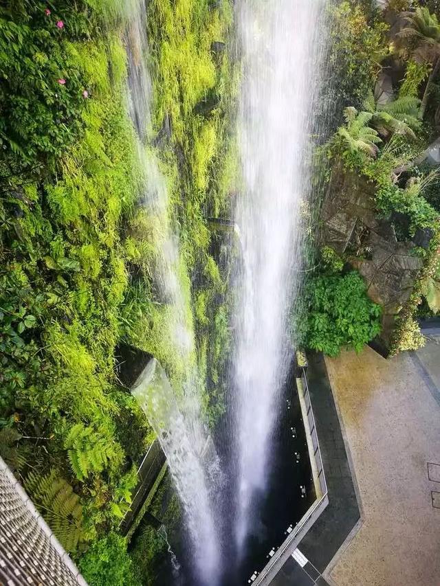 新加坡——滨海湾花园