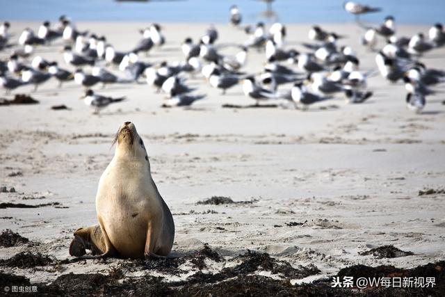 纯净、自然的风貌，曾被美国国家地理杂志评为“亚太第一岛”