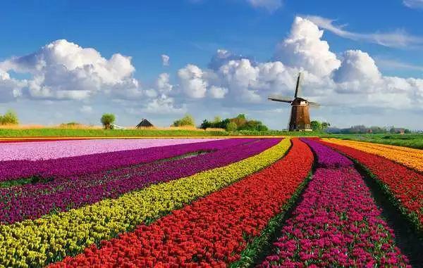 域外法治｜荷兰国际商事法庭的建设与特色