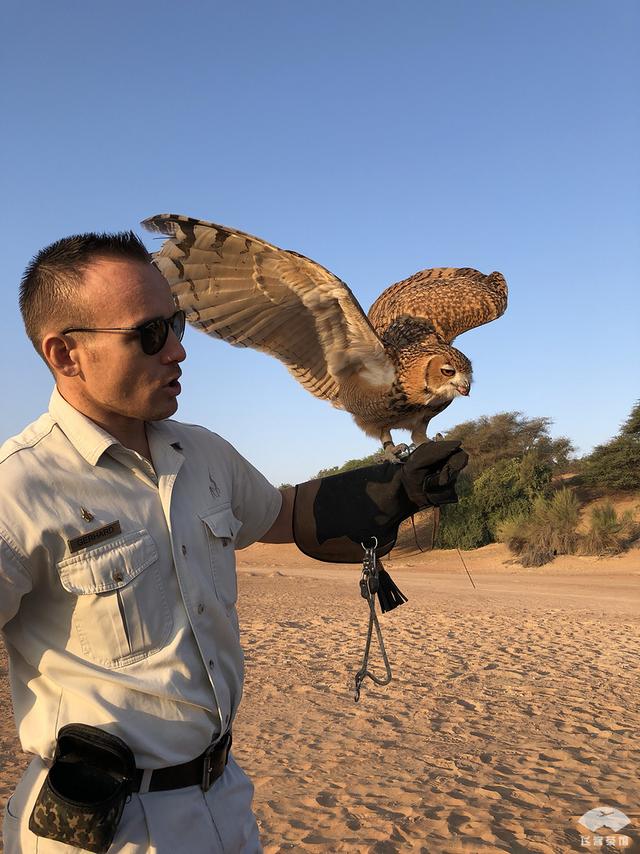 中国明星最爱住的迪拜沙漠之鹰 — 阿玛哈豪华精选初体验