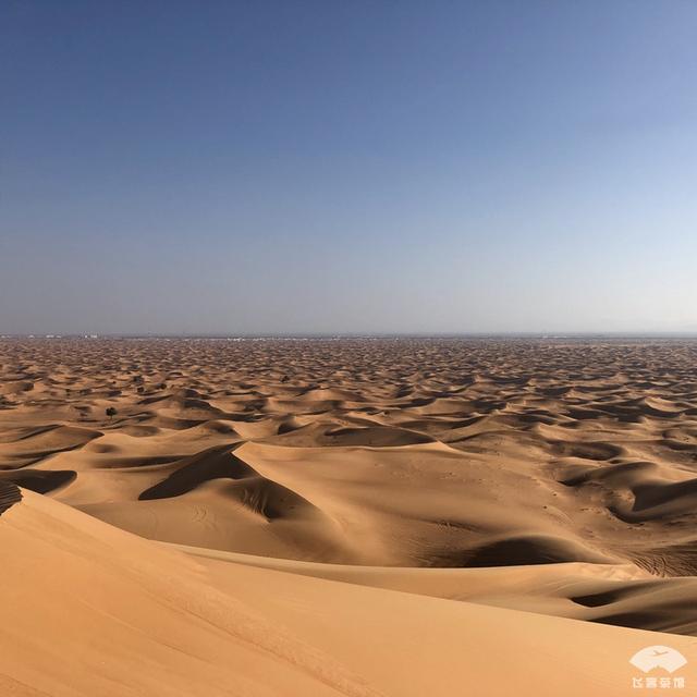 中国明星最爱住的迪拜沙漠之鹰 — 阿玛哈豪华精选初体验