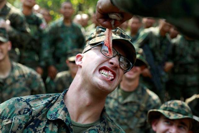 太拼！亚太最大规模军演 士兵为生存喝眼镜蛇血