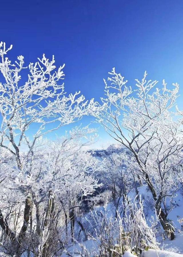 “带”着老爸去旅行，日本北海道雪景美，你想去旅游吗？