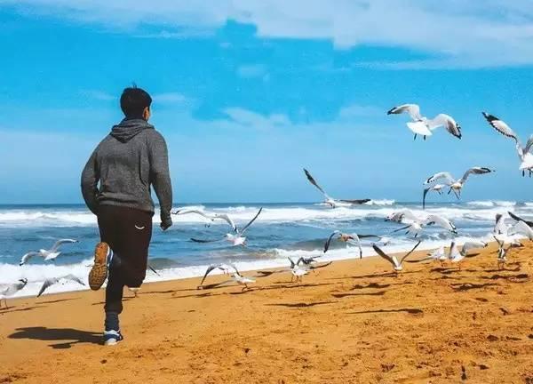 梦与现实让我故地重游海口
