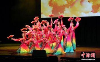 全球多地举办春节、元宵节庆祝活动
