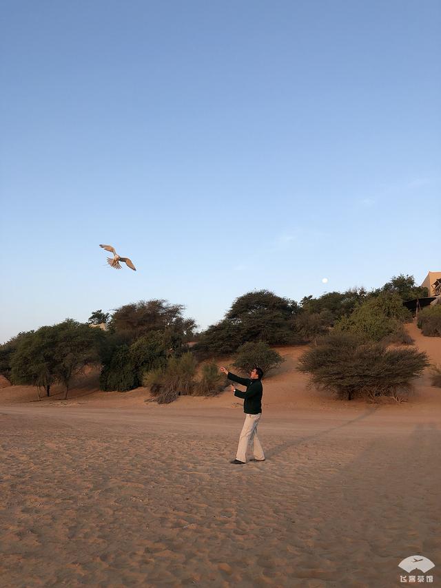 中国明星最爱住的迪拜沙漠之鹰 — 阿玛哈豪华精选初体验